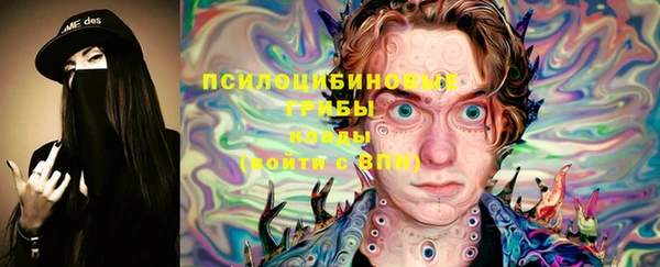 бошки Алзамай